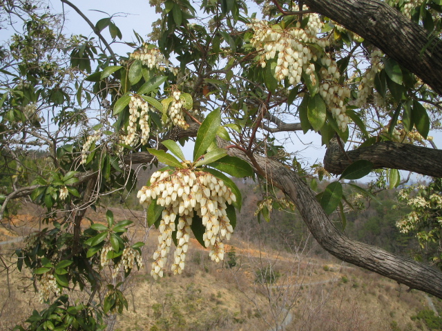 f0085369_925268.jpg