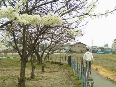 城山南区画整理：縦覧した感想、今迄の風景_c0112172_1185331.jpg