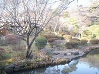 新江戸川橋公園_e0106975_985719.jpg