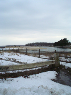 鰈釣り仕込み（1）_f0056476_1311473.jpg