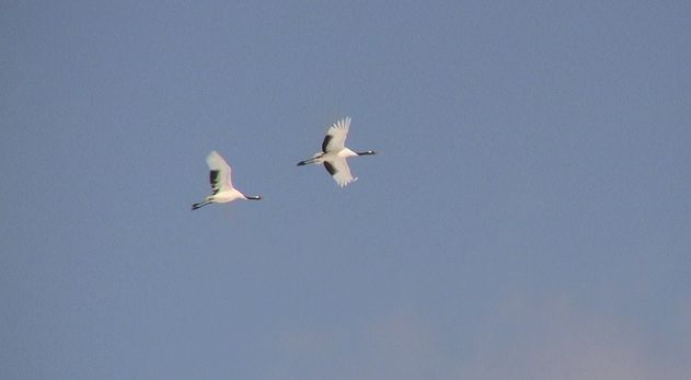 d0020180_2217294.jpg