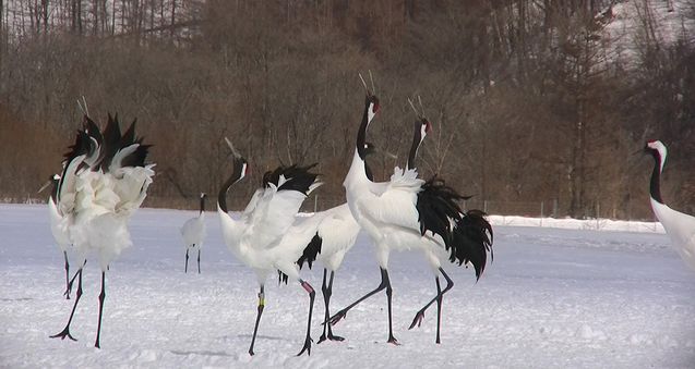 北海道遠征　その2_d0020180_2217328.jpg