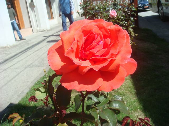 d0100880_3404475.jpg