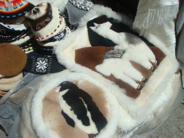 d0100880_3443598.jpg
