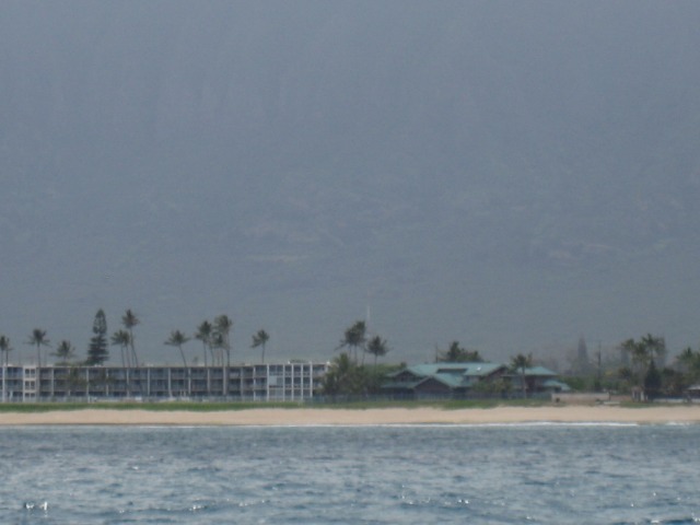 d0012685_1951988.jpg