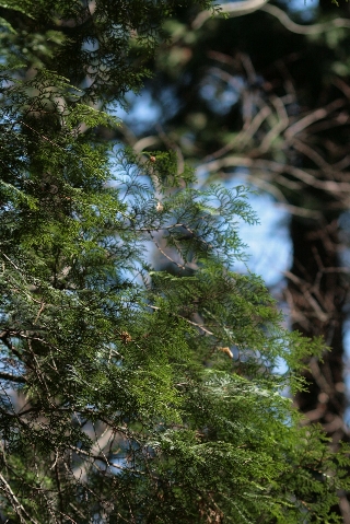 d0133693_1922931.jpg