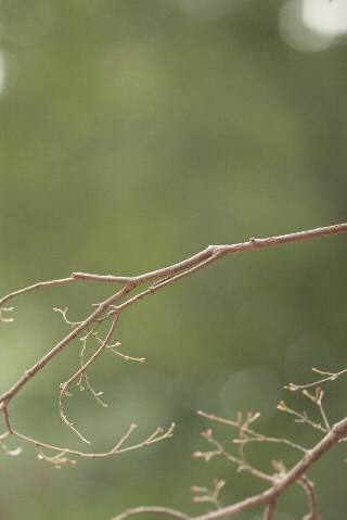 d0133693_1934220.jpg