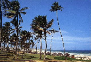 f0107398_09156.jpg