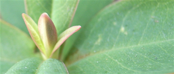c0015099_2010215.jpg