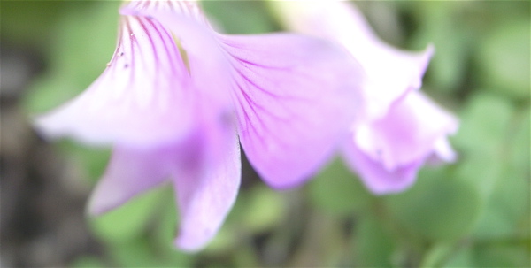c0015099_20111543.jpg