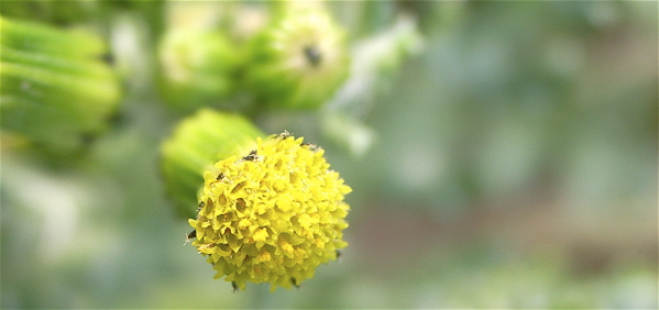 c0015099_201216.jpg