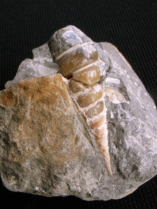 c0015099_8413481.jpg