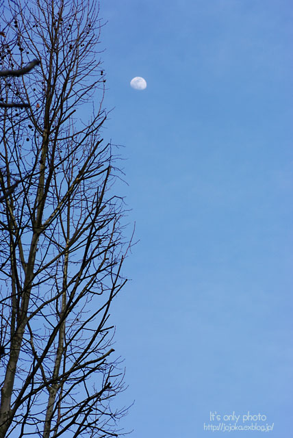 e0008800_142040.jpg