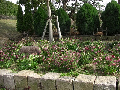 c0125501_2248722.jpg