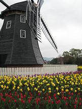 e0033301_1931340.jpg