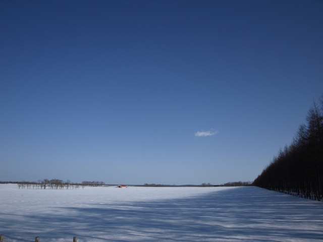 どんどん雪が溶けて_f0020302_2172546.jpg