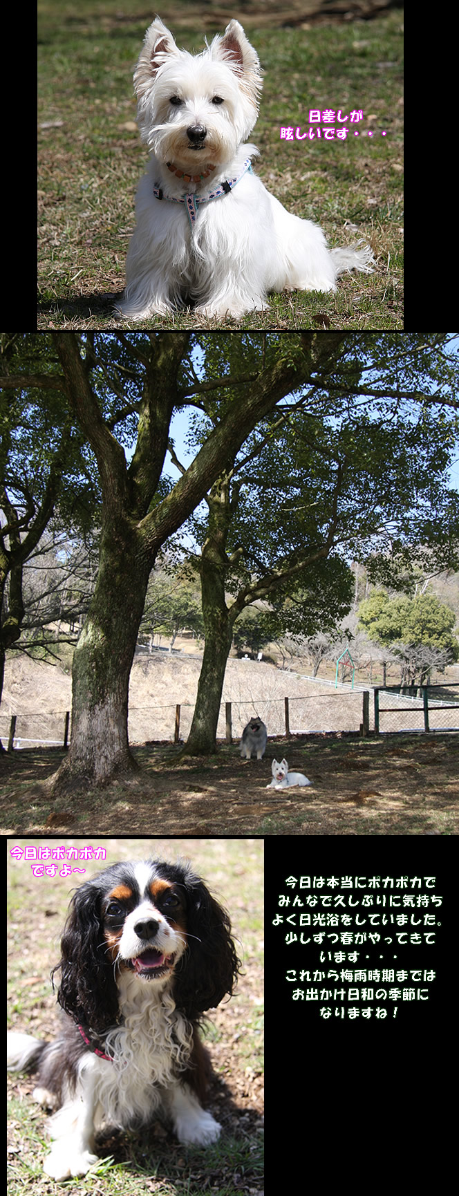 e0149903_12443040.jpg