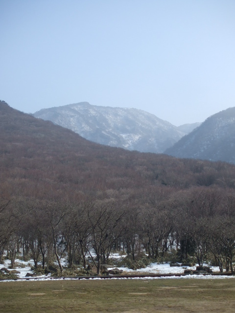 e0123104_7234663.jpg