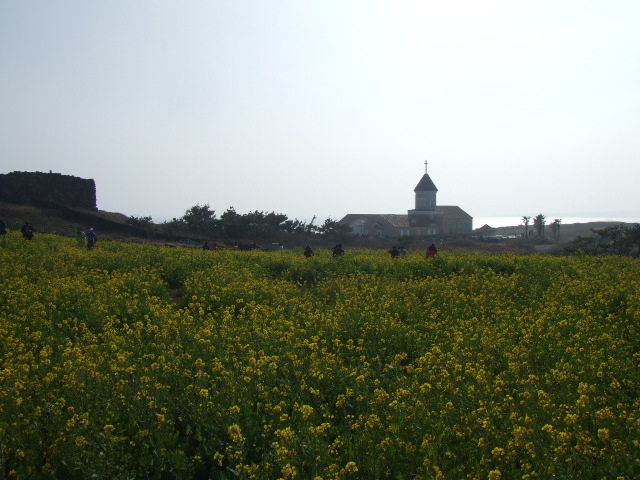 e0123104_7415452.jpg