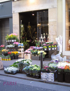 ◆2008 PARIS◆_b0111306_2294621.jpg