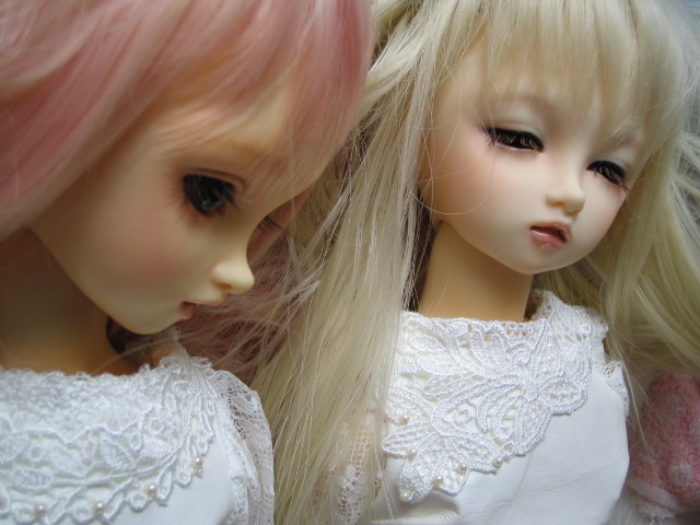 d0101907_1556341.jpg