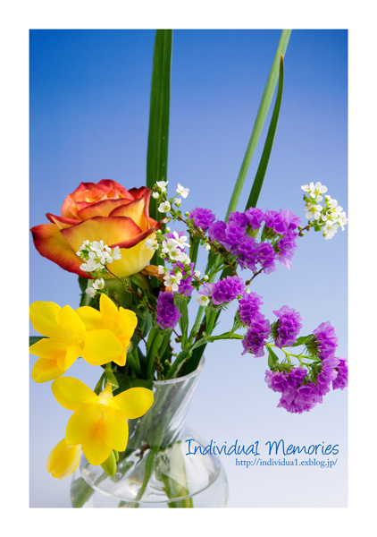 物撮り 花瓶に生けた花を撮る Individua1 Memories 物撮り 花瓶に生けた花を撮る Individua1 Memories