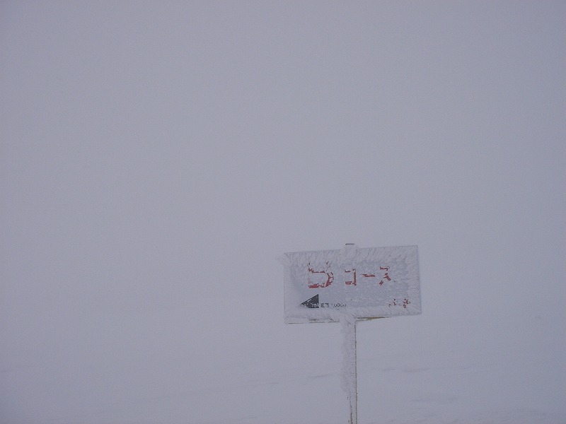 c0153411_2044349.jpg