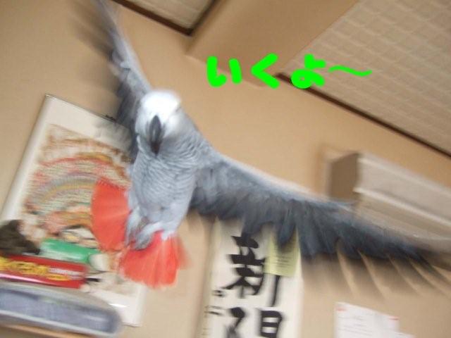c0133013_2019477.jpg