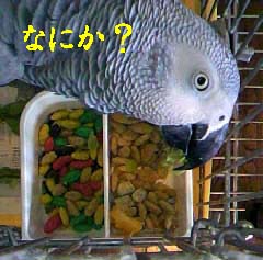 c0133013_20343944.jpg