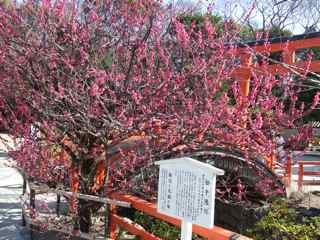 下鴨神社_d0087913_21512932.jpg