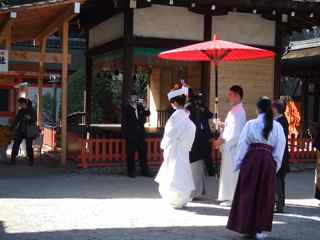 下鴨神社_d0087913_2152326.jpg