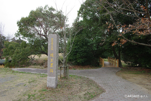 堤土塁-古代の築堤道路か-_f0063513_16345232.jpg