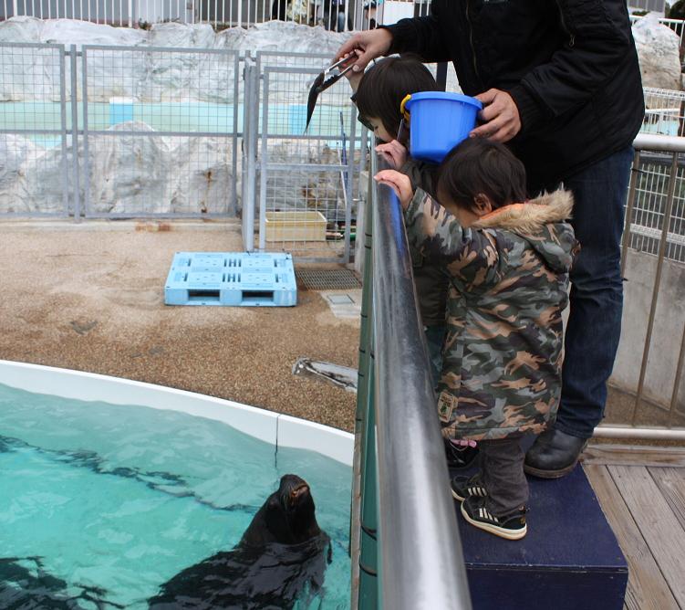 初水族館_b0132915_2222420.jpg