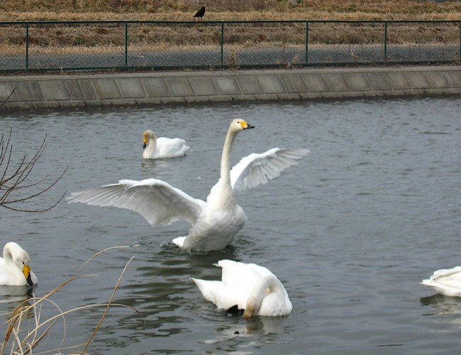 f0143119_18474171.jpg