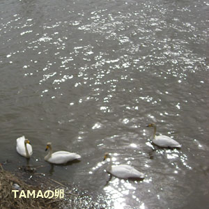 c0024729_11163751.jpg