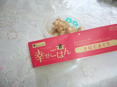 b0138430_194447100.jpg
