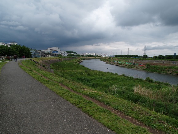 【自転車でGO】こいのぼり(koi nobori)に出合う。[2008年5月25日の投稿]_e0169130_055411.jpg