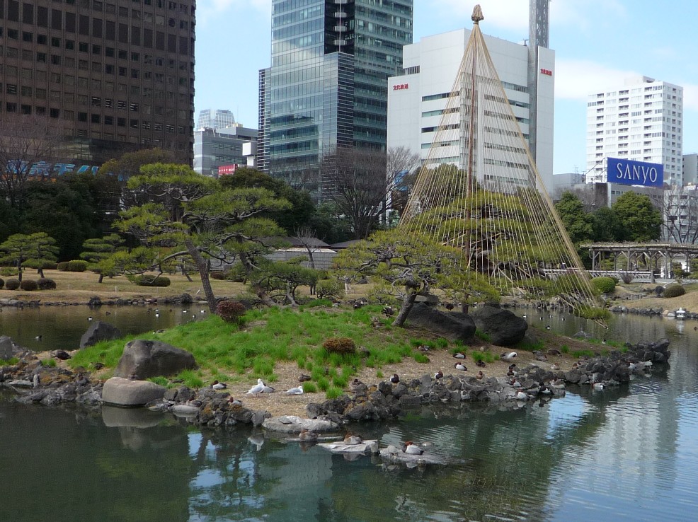 東京散歩　　　＋旧芝離宮恩賜庭園＋ 　　＠浜松町_a0082536_034538.jpg