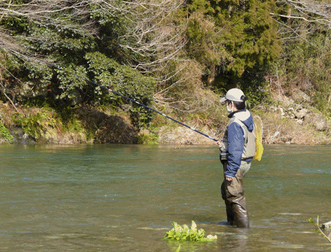 a0056140_23445652.gif