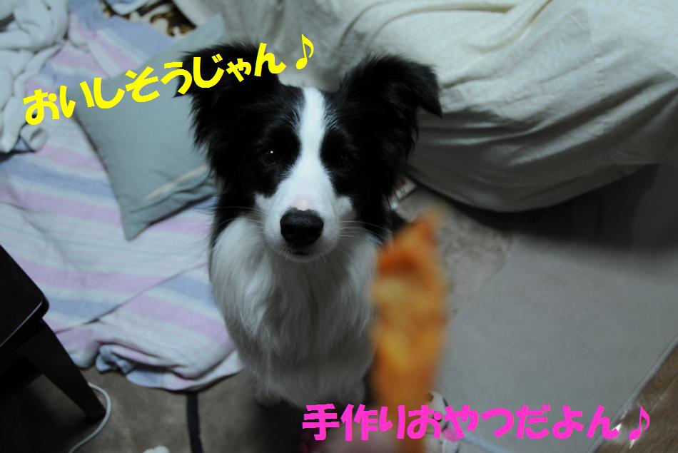 c0147241_13364396.jpg