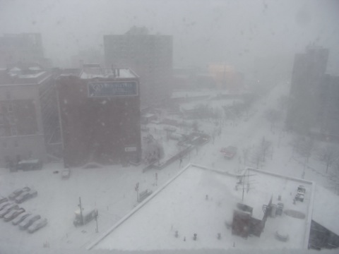 b0069243_6281251.jpg