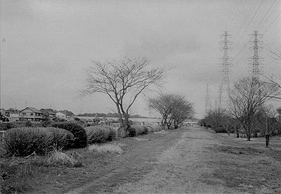 b0008655_12392381.jpg