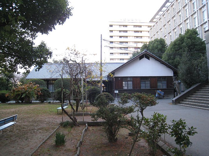 大阪医科大学管理棟_c0112559_1621668.jpg