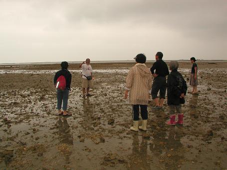 泡瀬干潟とサンゴの海の保護の夕べ_c0180460_21395226.jpg