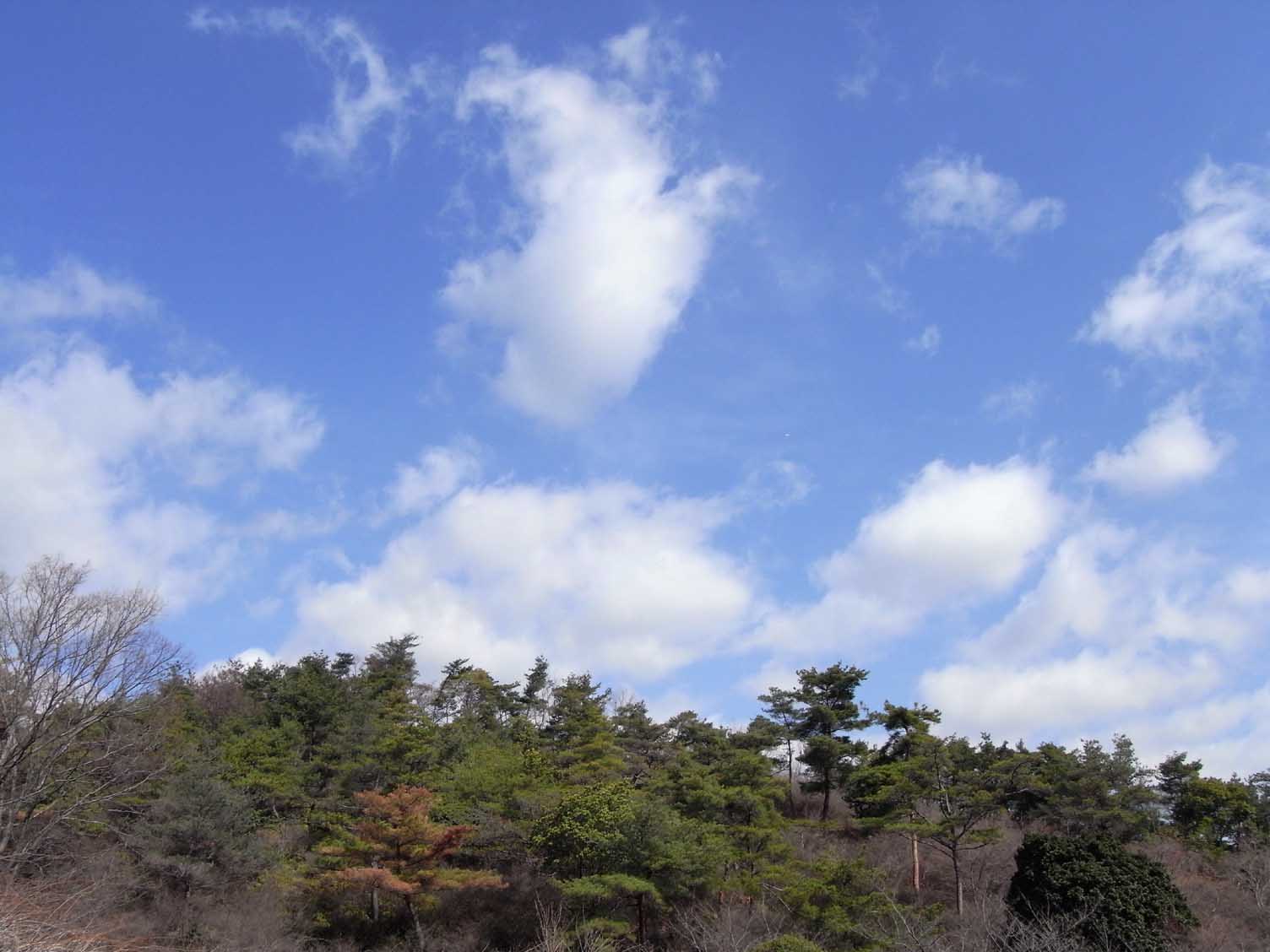 e0019563_12494538.jpg
