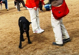 BCRNイベント_b0003270_1535934.jpg