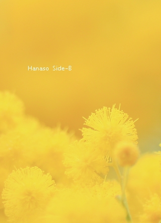 春のお花たっぷりなブーケ_c0198981_1243275.jpg