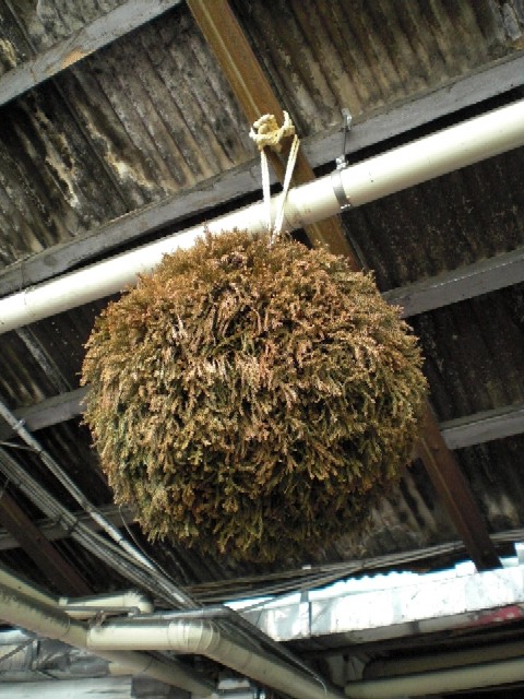 c0013687_1550758.jpg