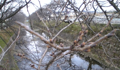 f0015287_22102939.jpg