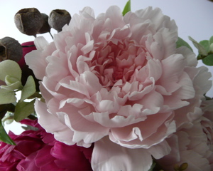 f0146198_237061.jpg